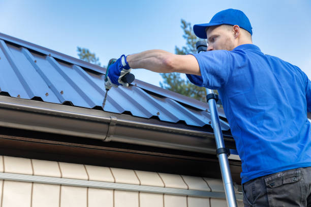 Best Steel Roofing  in Champlin, MN