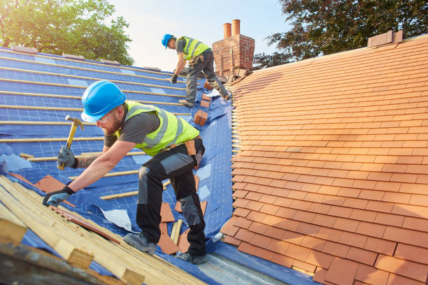 Best 4 Ply Roofing  in Champlin, MN